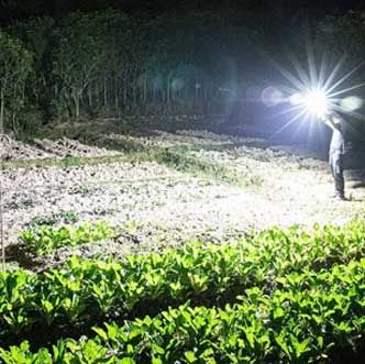 Versatile High Power Led Flashlight
